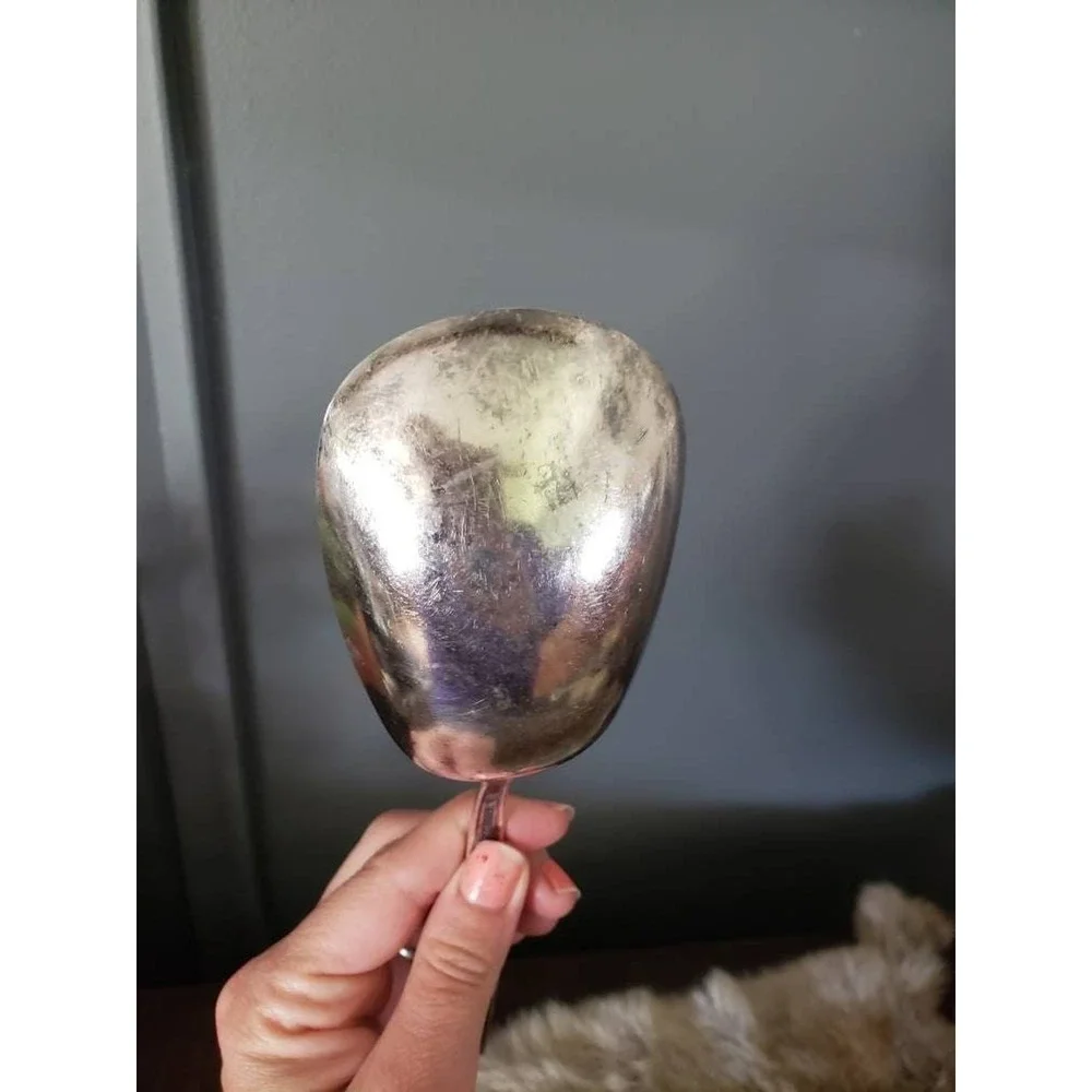 1960s WM Rogers & Sons Sea Spray Casserole Spoon Silverplate Serving Replacement